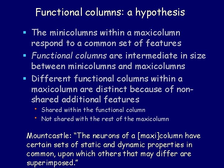Functional columns: a hypothesis § The minicolumns within a maxicolumn respond to a common Functional columns: a hypothesis § The minicolumns within a maxicolumn respond to a common