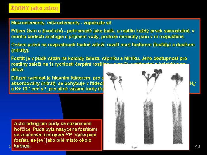 ŽIVINY jako zdroj Makroelementy, mikroelementy - zopakujte si! Příjem živin u živočichů - pohromadě