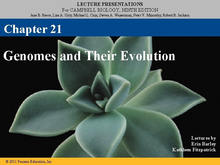 LECTURE PRESENTATIONS For CAMPBELL BIOLOGY, NINTH EDITION Jane B. Reece, Lisa A. Urry, Michael