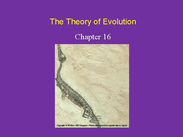 The Theory of Evolution Chapter 16 Copyright © Mc. Graw-Hill Companies Permission required for