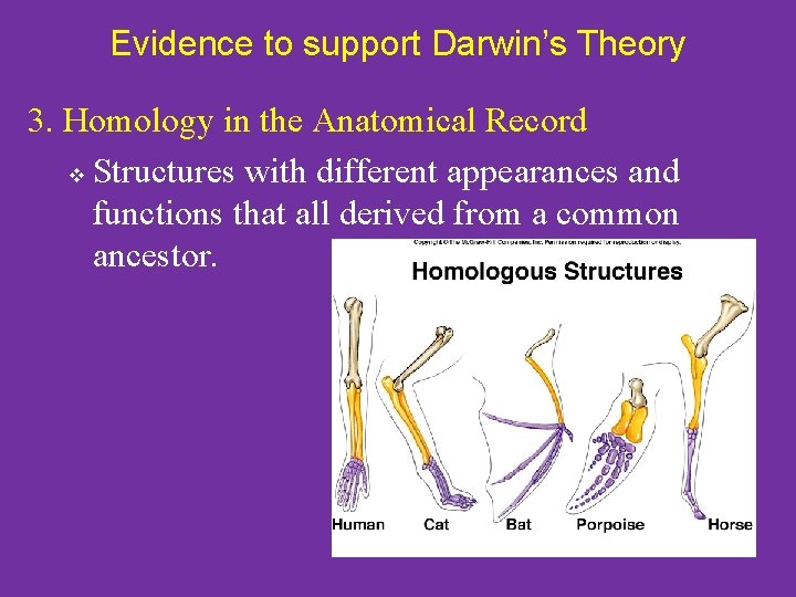 Evidence to support Darwin’s Theory 3. Homology in the Anatomical Record v Structures with