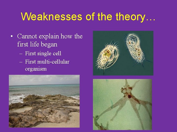 Weaknesses of theory… • Cannot explain how the first life began – First single