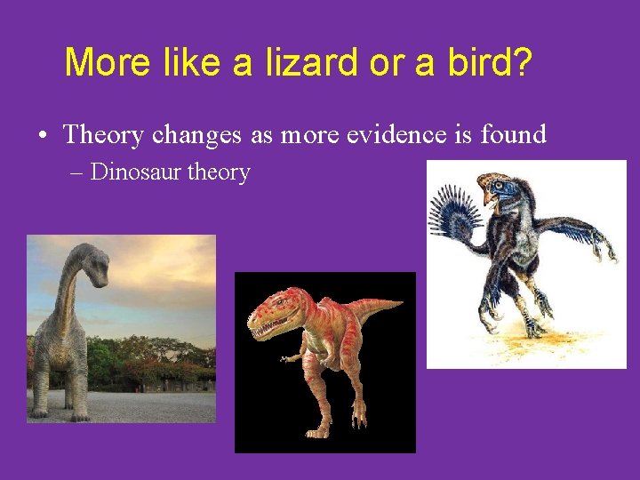 More like a lizard or a bird? • Theory changes as more evidence is