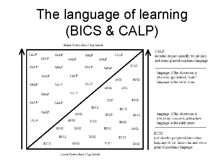 The language of learning (BICS & CALP) 