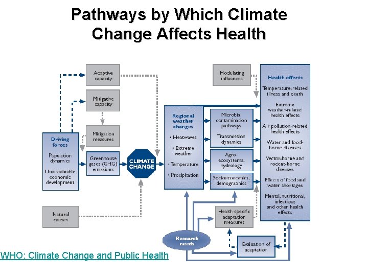 Pathways by Which Climate Change Affects Health WHO: Climate Change and Public Health 