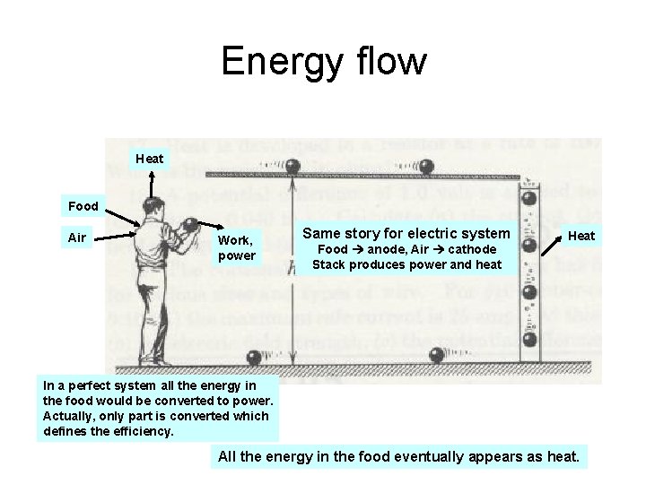 Energy flow Heat Food Air Work, power Same story for electric system Food anode,