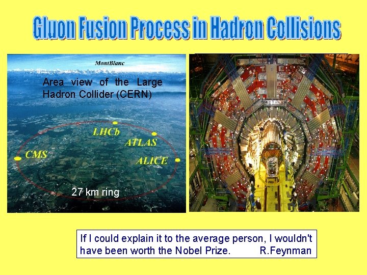 Area view of the Large Hadron Collider (CERN) 27 km ring If I could