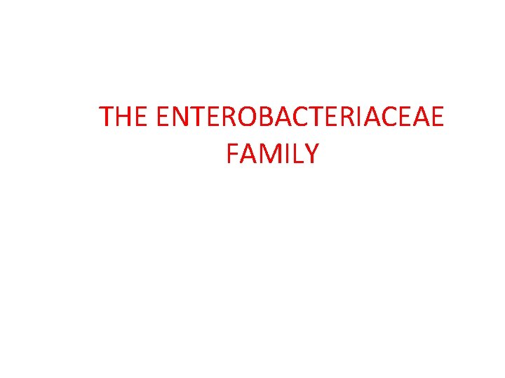 THE ENTEROBACTERIACEAE FAMILY 