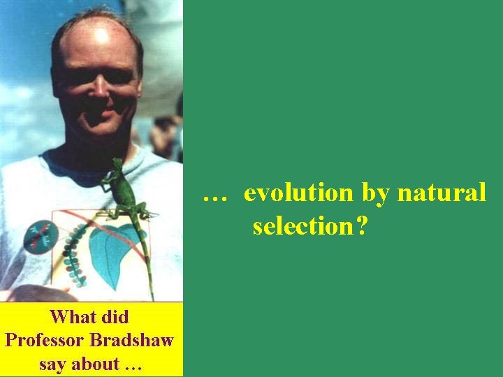 … evolution by natural selection? 