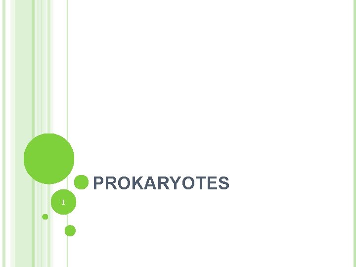 PROKARYOTES 1 