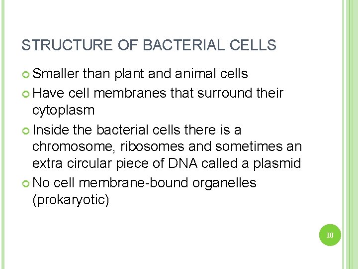 STRUCTURE OF BACTERIAL CELLS Smaller than plant and animal cells Have cell membranes that