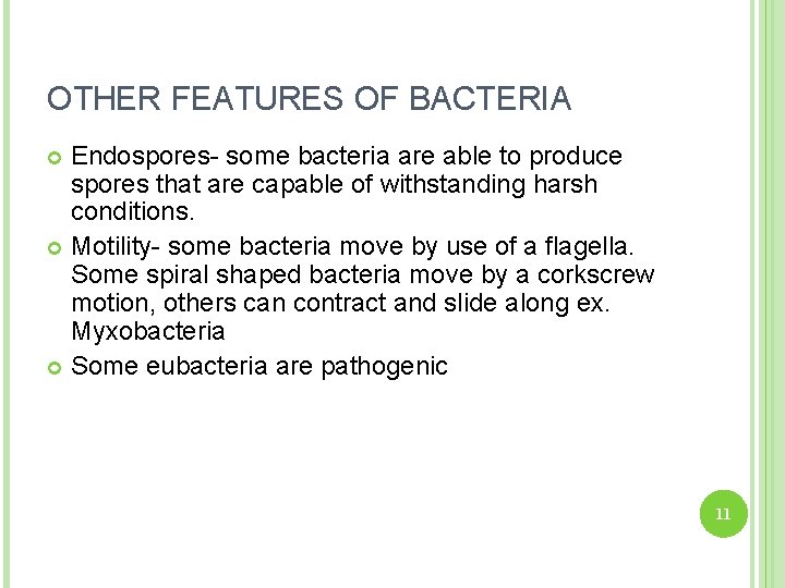 OTHER FEATURES OF BACTERIA Endospores- some bacteria are able to produce spores that are