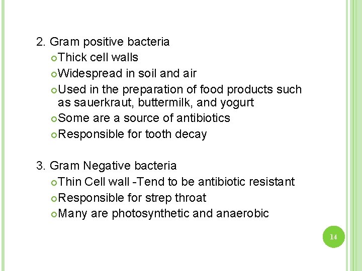 2. Gram positive bacteria Thick cell walls Widespread in soil and air Used in