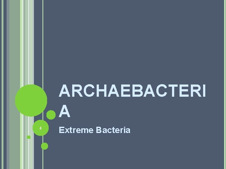 ARCHAEBACTERI A 4 Extreme Bacteria 