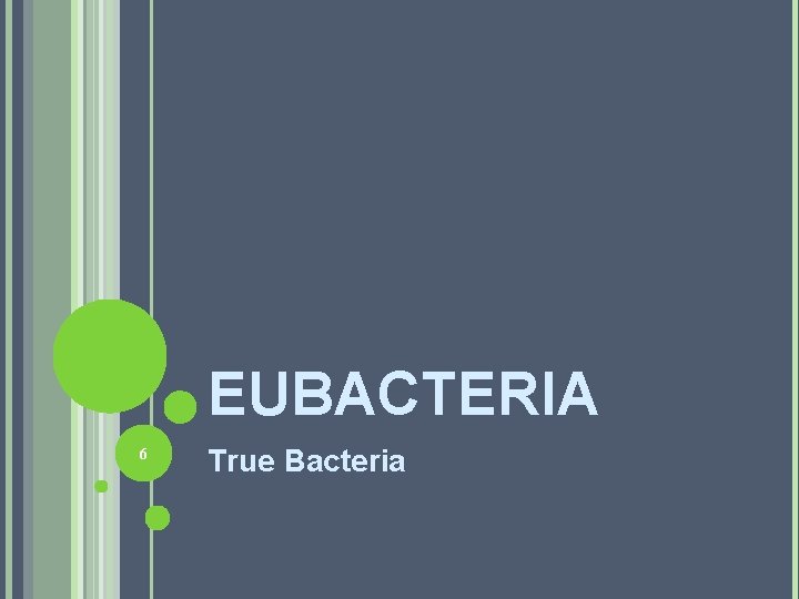 EUBACTERIA 6 True Bacteria 