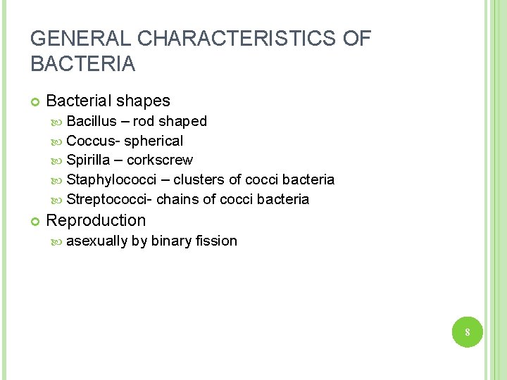GENERAL CHARACTERISTICS OF BACTERIA Bacterial shapes Bacillus – rod shaped Coccus- spherical Spirilla –