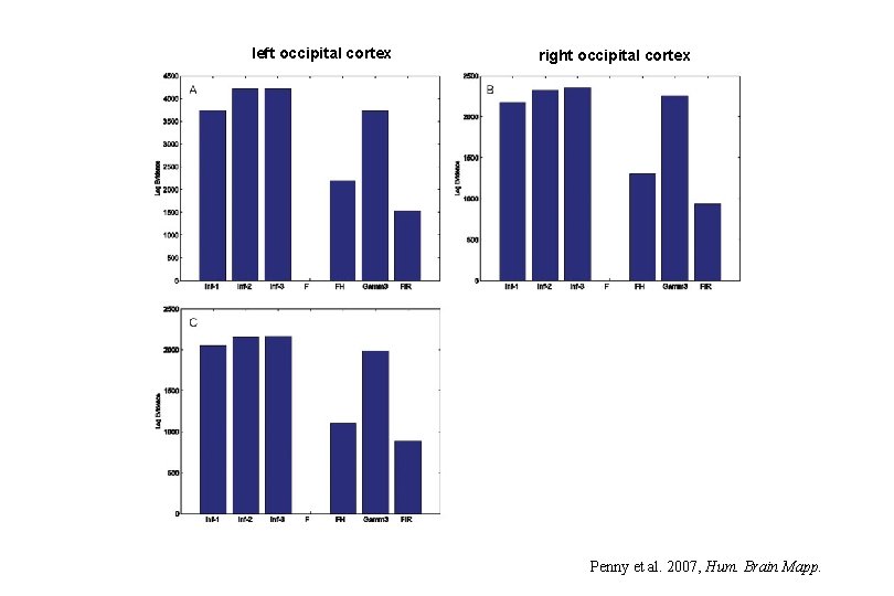 left occipital cortex right occipital cortex Penny et al. 2007, Hum. Brain Mapp. 