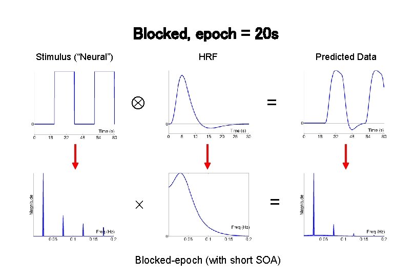 Blocked, epoch = 20 s Stimulus (“Neural”) HRF Predicted Data = = Blocked-epoch (with
