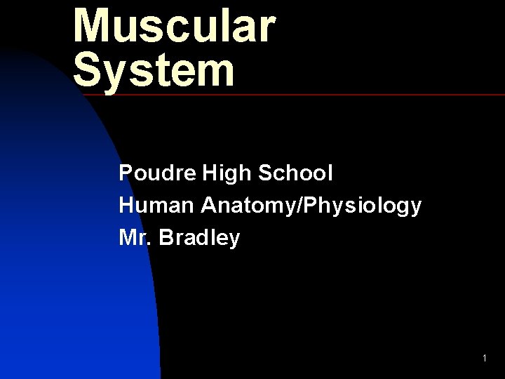 Muscular System Poudre High School Human Anatomy/Physiology Mr. Bradley 1 