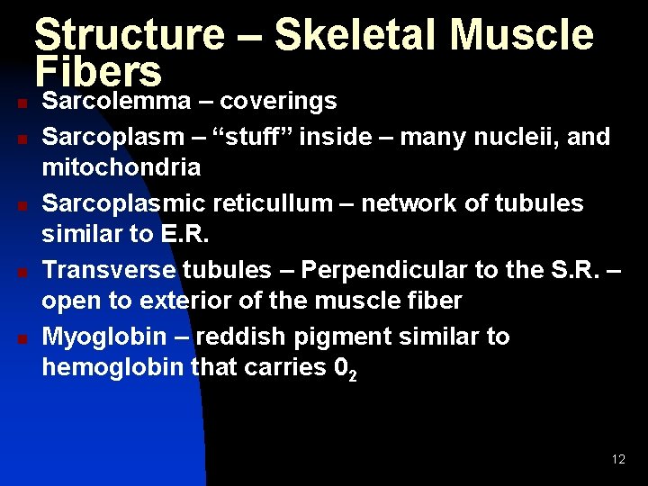 n n n Structure – Skeletal Muscle Fibers Sarcolemma – coverings Sarcoplasm – “stuff”