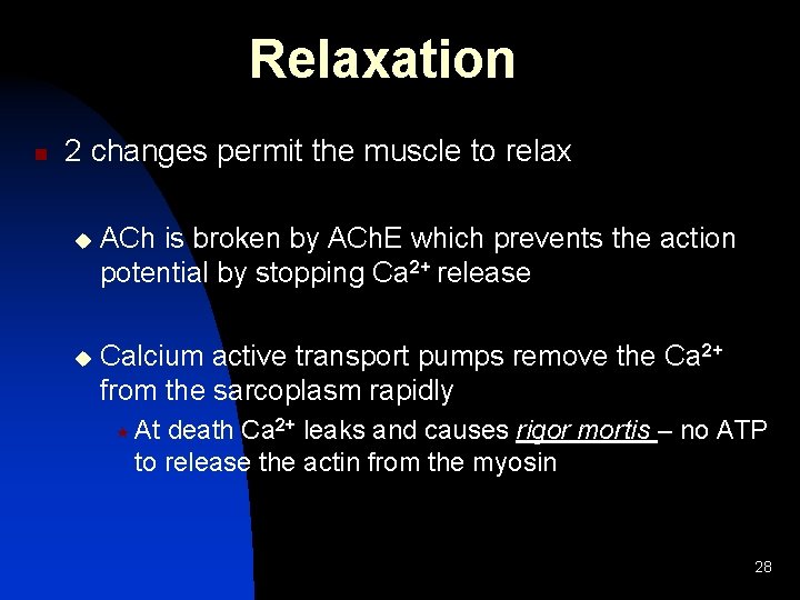 Relaxation n 2 changes permit the muscle to relax u ACh is broken by