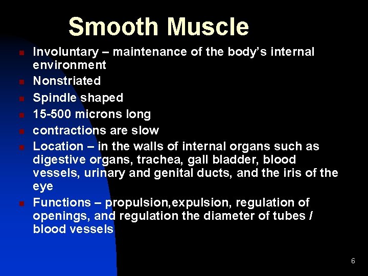  Smooth Muscle n n n n Involuntary – maintenance of the body’s internal