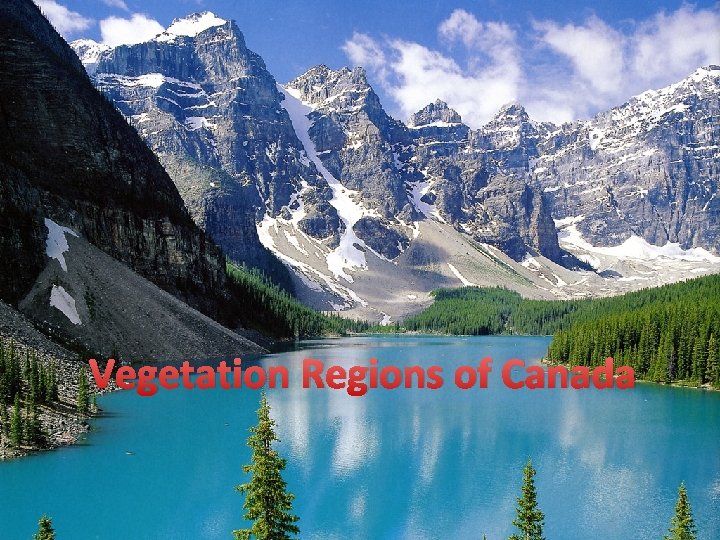 Vegetation Regions of Canada 