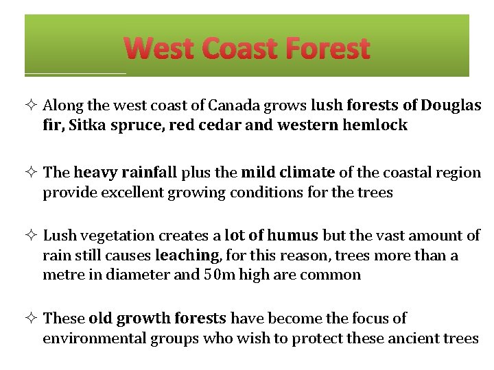 West Coast Forest ² Along the west coast of Canada grows lush forests of