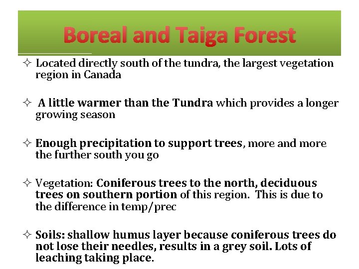Boreal and Taiga Forest ² Located directly south of the tundra, the largest vegetation