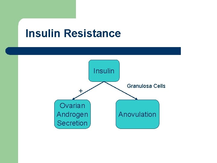 Insulin Resistance Insulin + Ovarian Androgen Secretion Granulosa Cells Anovulation 