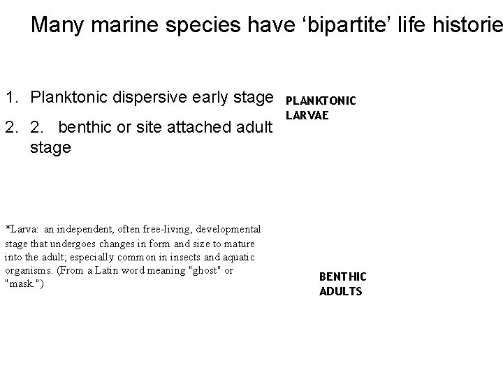 Many marine species have ‘bipartite’ life historie 1. Planktonic dispersive early stage 2. 2.