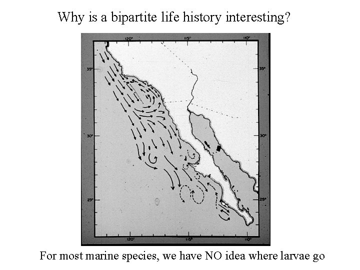 Why is a bipartite life history interesting? For most marine species, we have NO