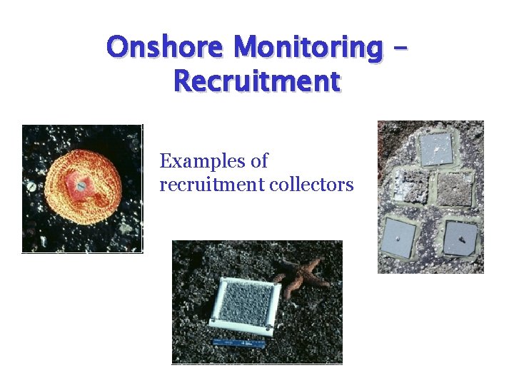 Onshore Monitoring – Recruitment Examples of recruitment collectors 