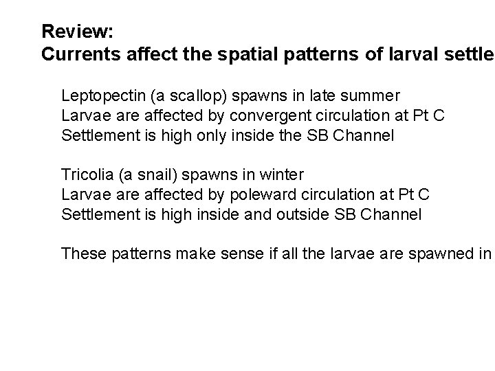 Review: Currents affect the spatial patterns of larval settlem Leptopectin (a scallop) spawns in