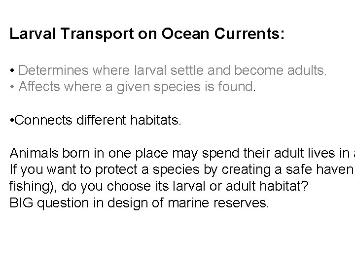 Larval Transport on Ocean Currents: • Determines where larval settle and become adults. •