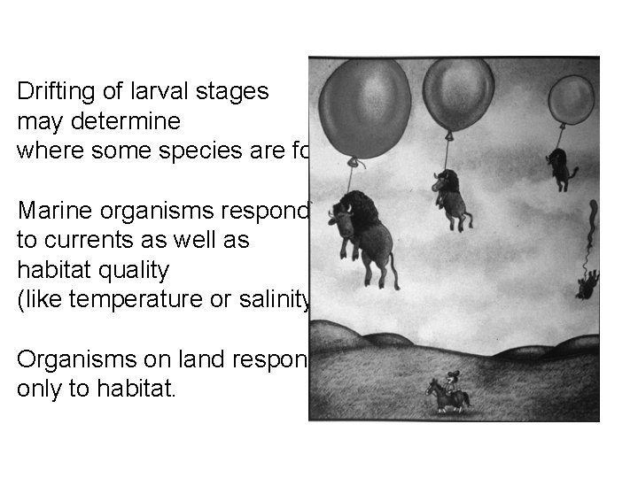 Drifting of larval stages may determine where some species are found Marine organisms respond