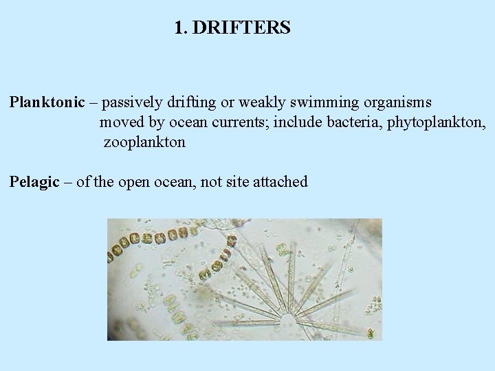 1. DRIFTERS Planktonic – passively drifting or weakly swimming organisms moved by ocean currents;