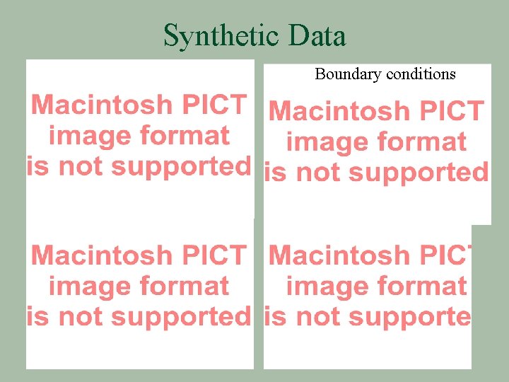Synthetic Data Initial conditions Boundary conditions 