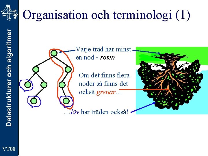 Datastrukturer och algoritmer Organisation och terminologi (1) VT 08 Varje träd har minst en