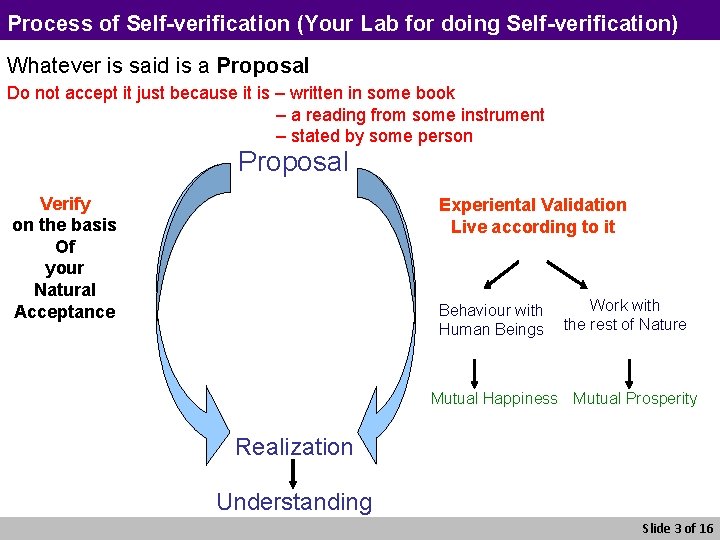 Process of Self-verification (Your Lab for doing Self-verification) Whatever is said is a Proposal