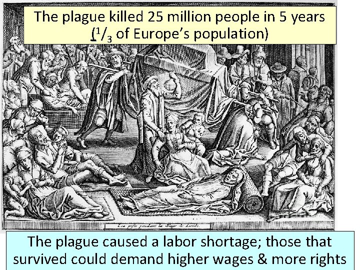 The plague killed 25 million people in 5 years (1/3 of Europe’s population) The