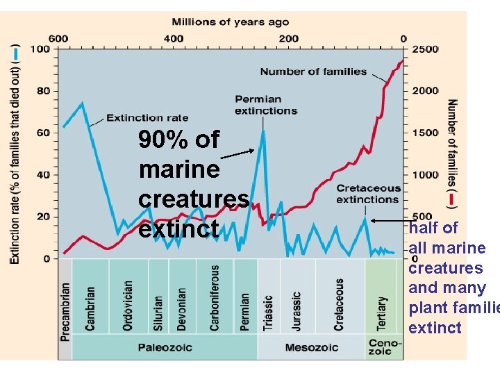 90% of marine creatures extinct half of all marine creatures and many plant familie