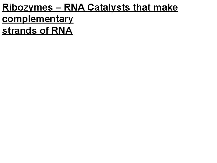 Ribozymes – RNA Catalysts that make complementary strands of RNA 