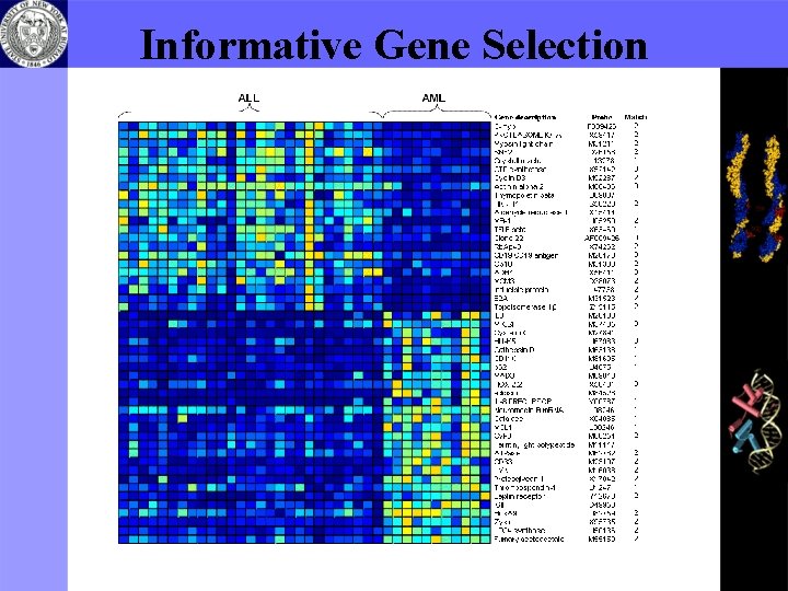 Informative Gene Selection 