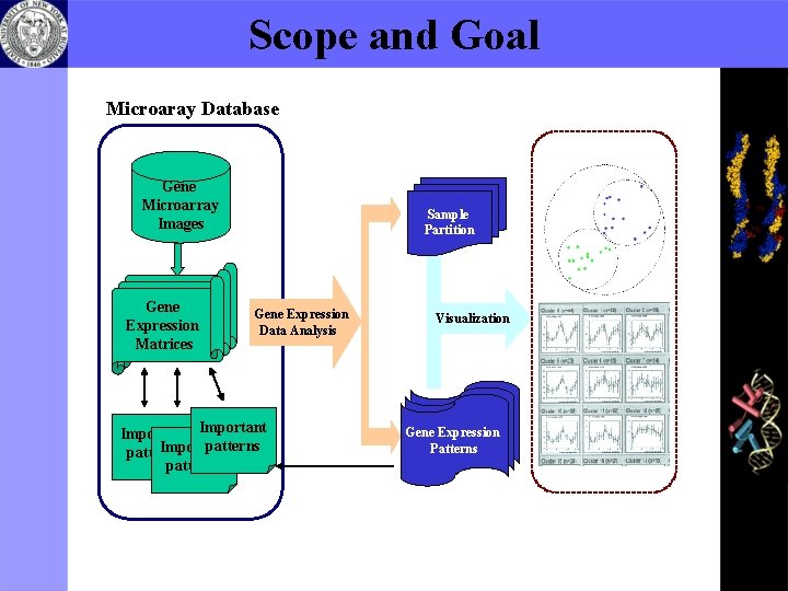 Scope and Goal Microaray Database Gene Microarray Images Gene Expression Matrices Sample Partition Gene