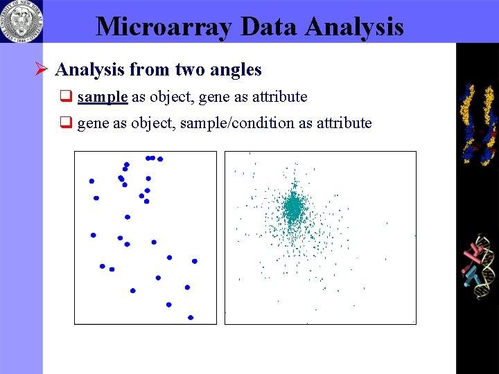 Microarray Data Analysis Ø Analysis from two angles q sample as object, gene as