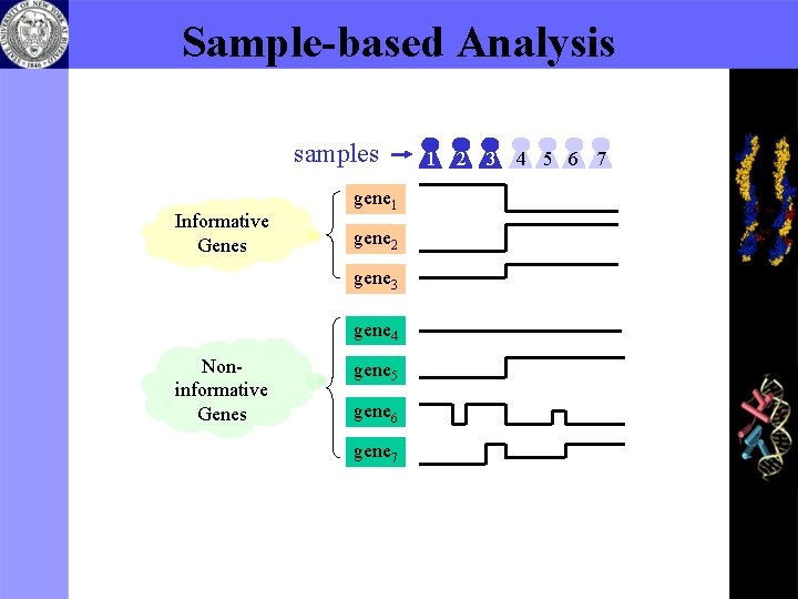 Sample-based Analysis samples Informative Genes gene 1 gene 2 gene 3 gene 4 Noninformative