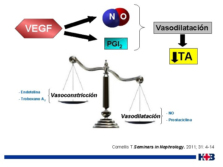  N O VEGF Vasodilatación PGI 2 TA - Endotelina - Troboxano A 2