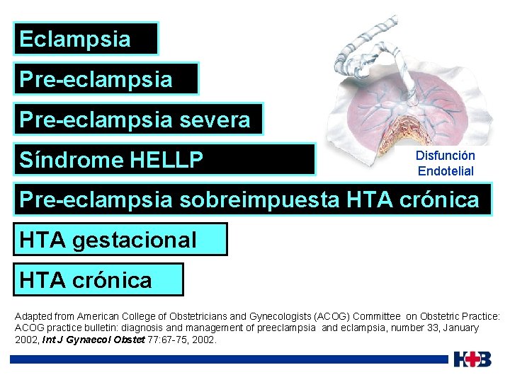 Eclampsia Pre-eclampsia severa Síndrome HELLP Disfunción Endotelial Pre-eclampsia sobreimpuesta HTA crónica HTA gestacional HTA