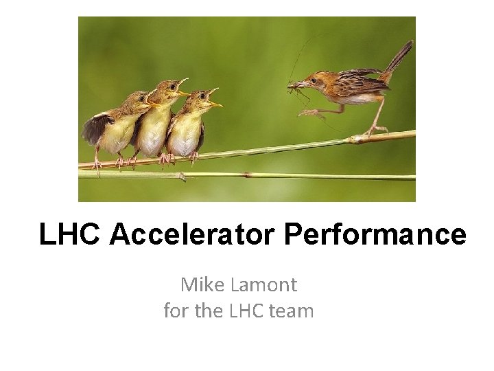 LHC Accelerator Performance Mike Lamont for the LHC team 